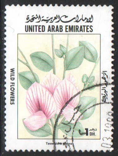 United Arab Emirates Scott 626 Used